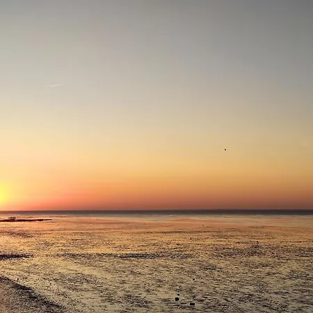 펜션 Tiny House Nature 3 Zur Kuhweide - Tiny Village Harlesiel 카롤리넨시엘