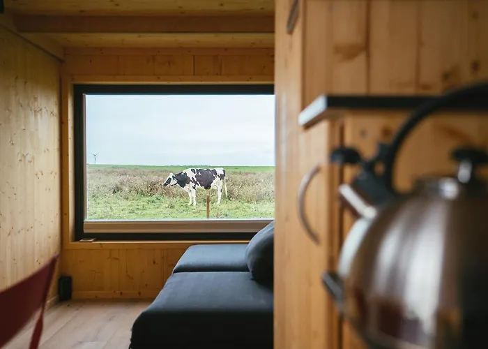 Tiny House Nature 3 Zur Kuhweide - Tiny Village Harlesiel Carolinensiel