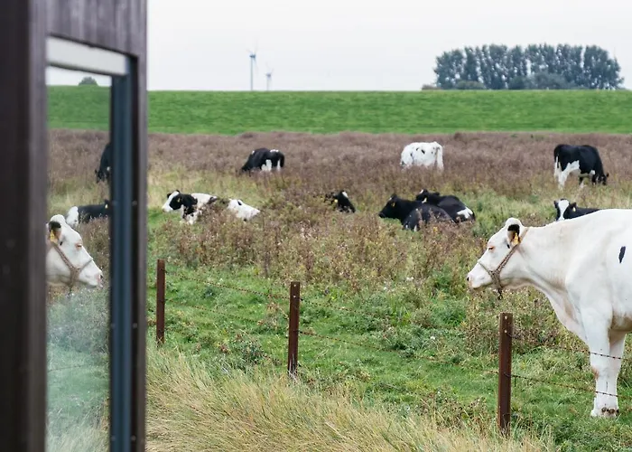 Tiny House Nature 3 Zur Kuhweide - Tiny Village Harlesiel Feriehus Carolinensiel